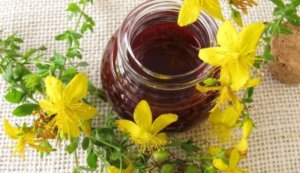 Kantaron Yağının Faydaları