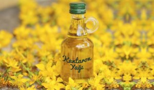 kantaron yağı 1