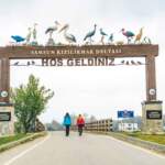 Düden Gölü Flamingoları: Baharın Renkli Göç Noktasında Gizli Güzellikler