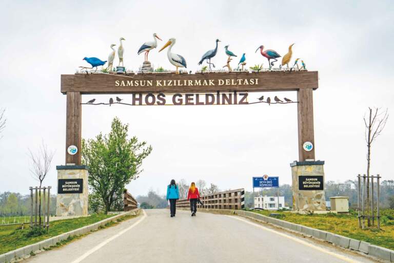 Düden Gölü Flamingoları: Baharın Renkli Göç Noktasında Gizli Güzellikler