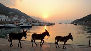 Hydra Adası: Motorlu Araçların Yasak Olduğu Sakin Bir Cennet