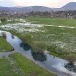 Apsıngır Ovası’nda Bahar: Doğanın Canlanışı ve Kuş Göçü