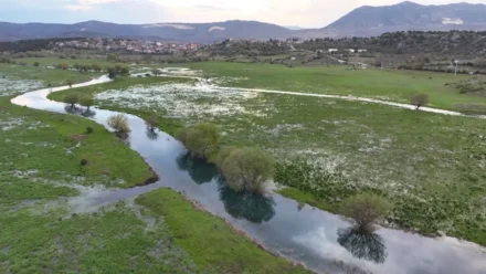 Apsıngır Ovası’nda Bahar: Doğanın Canlanışı ve Kuş Göçü