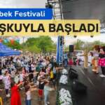 Gaziantep Anne Bebek Festivali: Bu Yılki Etkinlikler ve Renkli Görüntüler
