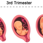 Anne ve Bebek Sağlığı Üzerine Çarpıcı Bilgiler ve Uyarılar