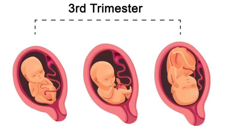 Anne ve Bebek Sağlığı Üzerine Çarpıcı Bilgiler ve Uyarılar 7 Anne ve Bebek Sağlığı Üzerine Çarpıcı Bilgiler ve Uyarılar