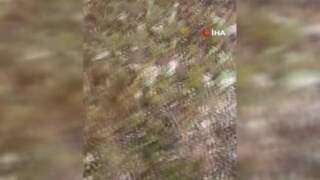 Dolaman Mantarından Günde 60 Bin Lira Kazanmanın Yolları