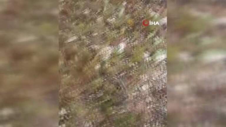 Dolaman Mantarından Günde 60 Bin Lira Kazanmanın Yolları