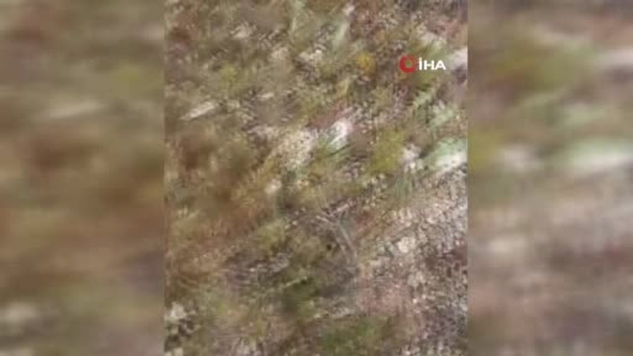 Dolaman Mantarından Günde 60 Bin Lira Kazanmanın Yolları 4 Dolaman Mantarından Günde 60 Bin Lira Kazanmanın Yolları