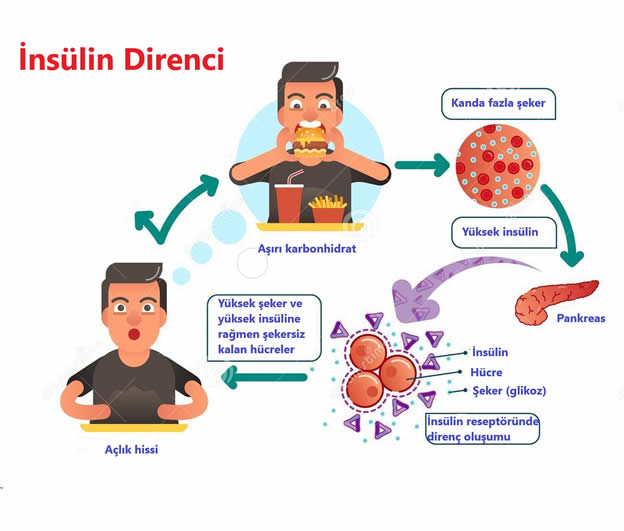 İnsülin Direnci Neden Oluyor? Uzmanlardan Önemli Uyarılar