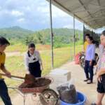 Cao Bang Lise Mezuniyet Sınavı: Bilgisayar Tabanlı Denemeler