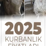 Kurbanlık Fiyatları 2026: 2. El Araba Parası ile Satışta!