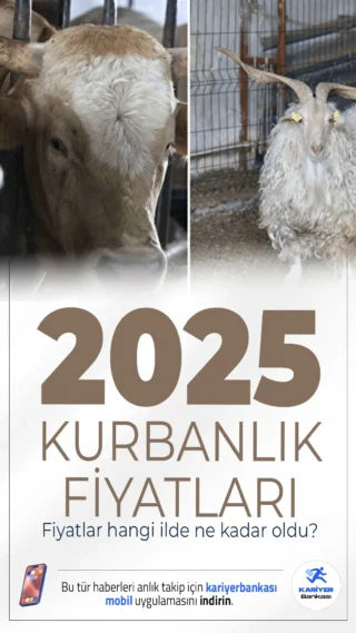 Kurbanlık Fiyatları 2026: 2. El Araba Parası ile Satışta!