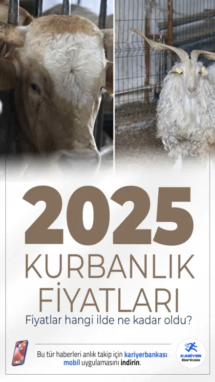 Kurbanlık Fiyatları 2026: 2. El Araba Parası ile Satışta!
