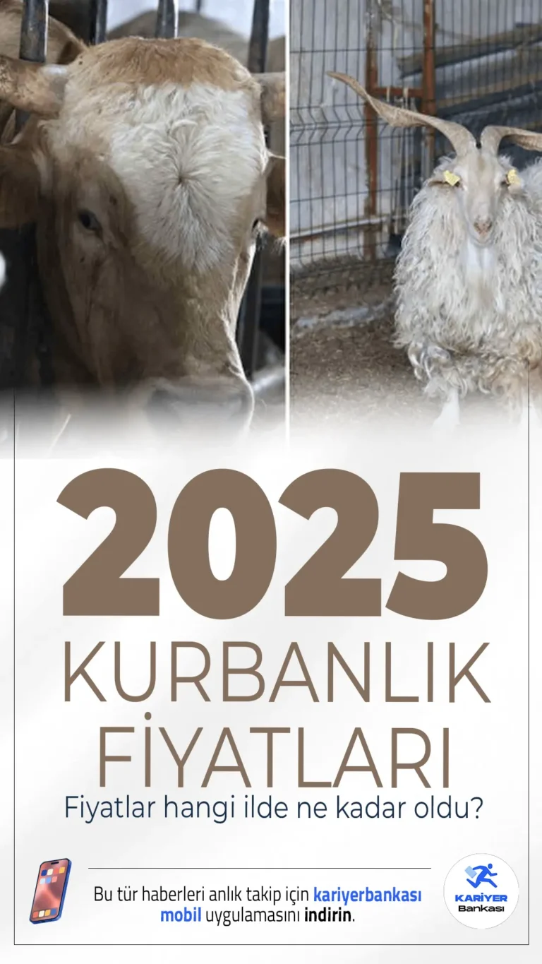 Kurbanlık Fiyatları 2026: 2. El Araba Parası ile Satışta!